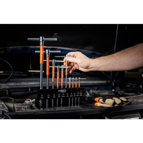 Klucze trzpieniowe z przetyczką imbusowe zestaw 10 szt w stojaku 2-10 mm NEO TOOLS 09-509