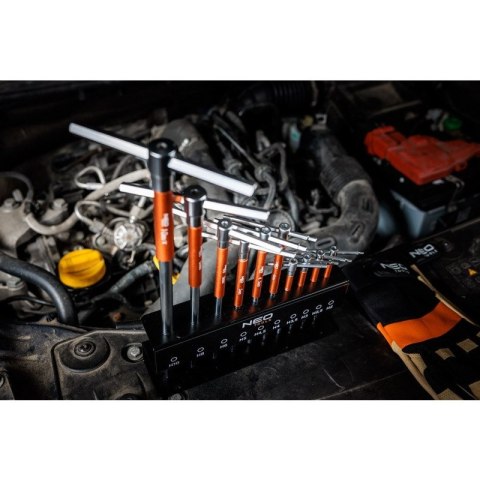 Klucze trzpieniowe z przetyczką imbusowe zestaw 10 szt w stojaku 2-10 mm NEO TOOLS 09-509