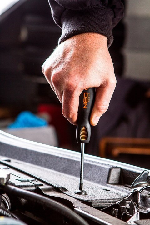 04-209 ZESTAW WKRĘTAKÓW I KOŃCÓWEK WKRĘTAKOWYCH, 30 SZT. NEO TOOLS