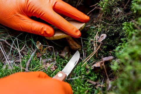 97-690-L RĘKAWICZKI NITRYLOWE, POMARAŃCZOWE, 50 SZTUK, ROZMIAR L NEO TOOLS 97-690-L RĘKAWICZKI NITRYLOWE, POMARAŃCZOWE, 50 SZTUK, ROZMIAR L NEO TOOLS