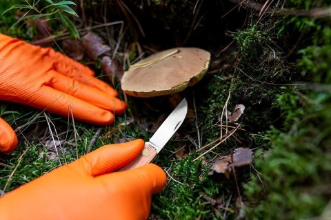 97-690-M RĘKAWICZKI NITRYLOWE, POMARAŃCZOWE, 50 SZTUK, ROZMIAR M NEO TOOLS 97-690-M RĘKAWICZKI NITRYLOWE, POMARAŃCZOWE, 50 SZTUK, ROZMIAR M NEO TOOLS