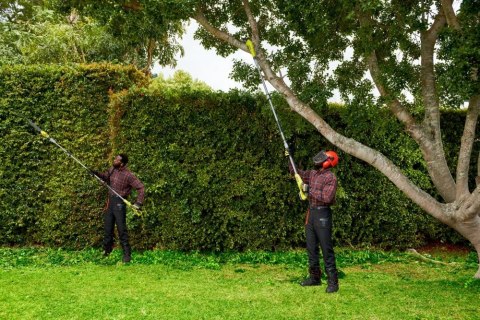 Teleskopowe nożyce do żywopłotu 40 cm EZ REACH 18V ONE + RY18PHT40A-0 RYOBI